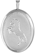 L8100 equestrian horse oval locket