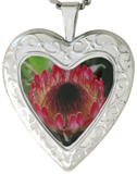 L5201 Protea flower locket
