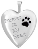 forever in my heart cremation pet locket