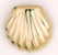 M422 shell charm